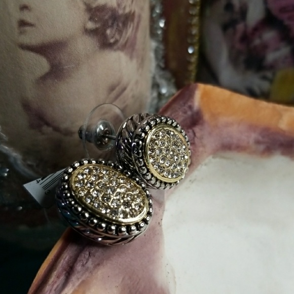 Rhinestone Cable Wrap Pebble Bezel Earrings - Picture 6 of 8